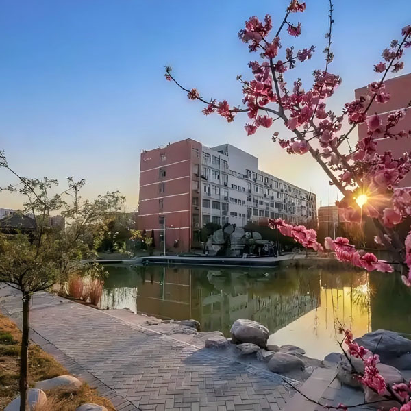 ֣��ʦ��ѧԺ