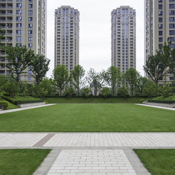 ����С��